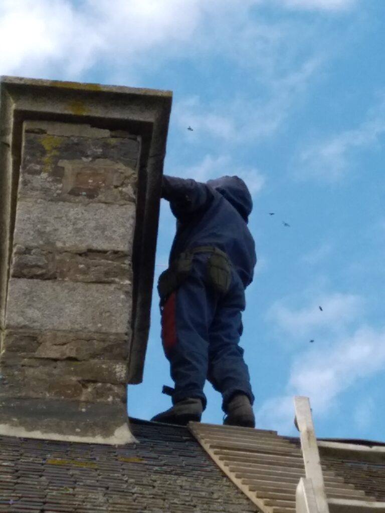 Alain Corti Paysagiste A La Haye Pesnel Nid De Frelon 9