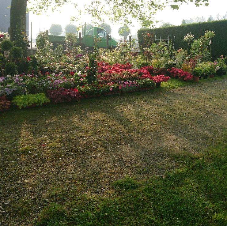 Alain Corti Paysagiste A La Haye Pesnel Horticulture 2 1